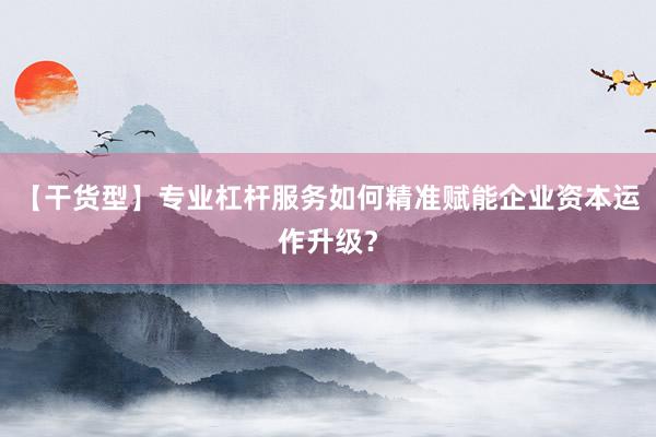 【干货型】专业杠杆服务如何精准赋能企业资本运作升级？
