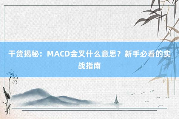 干货揭秘：MACD金叉什么意思？新手必看的实战指南