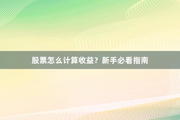 股票怎么计算收益？新手必看指南