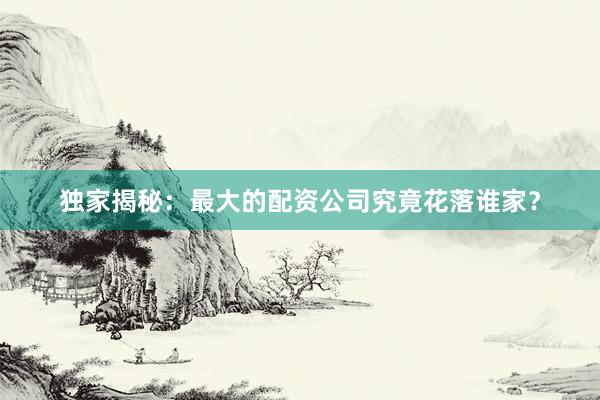 独家揭秘：最大的配资公司究竟花落谁家？