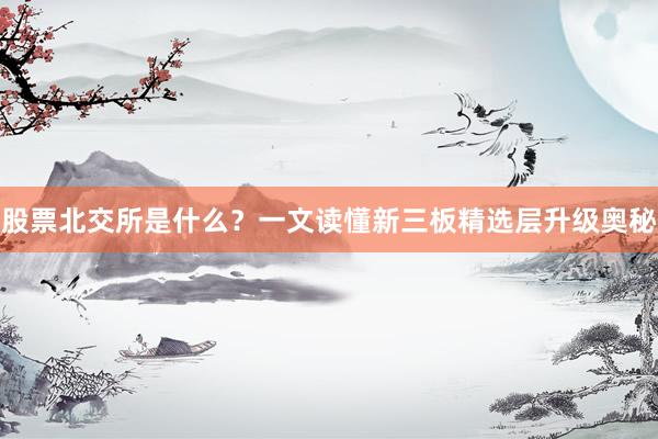股票北交所是什么？一文读懂新三板精选层升级奥秘