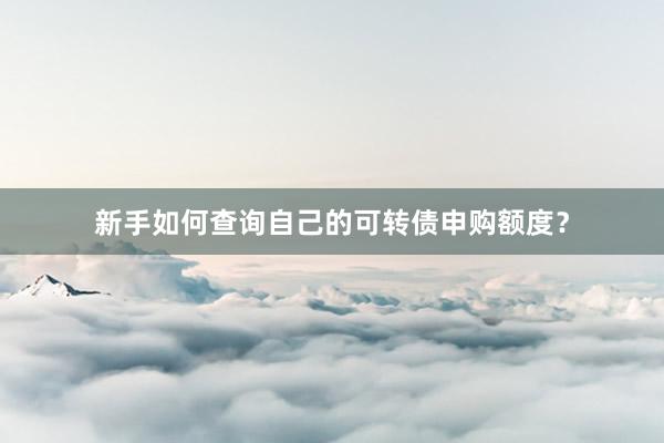 新手如何查询自己的可转债申购额度？