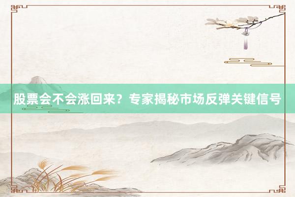 股票会不会涨回来？专家揭秘市场反弹关键信号