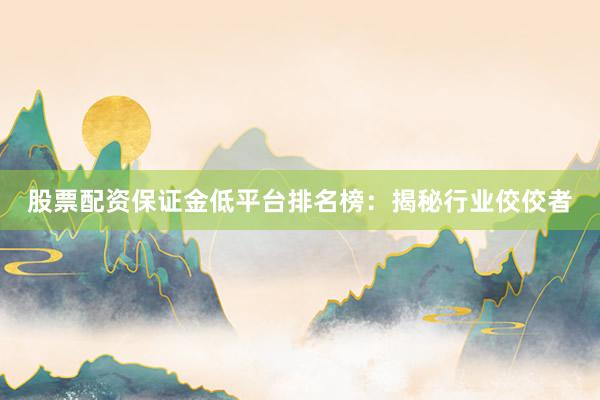 股票配资保证金低平台排名榜：揭秘行业佼佼者