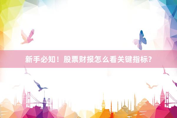 新手必知！股票财报怎么看关键指标？