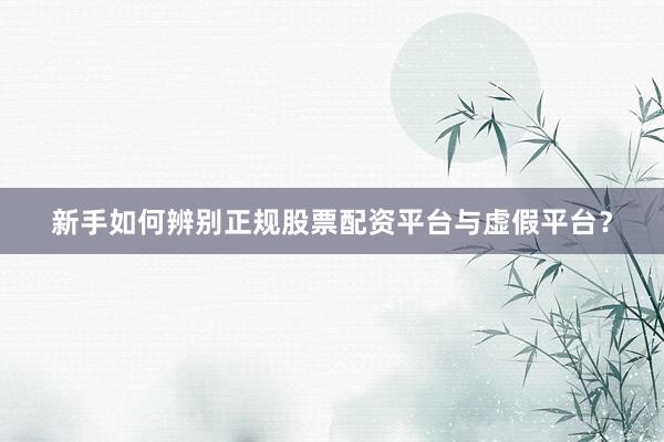 新手如何辨别正规股票配资平台与虚假平台？