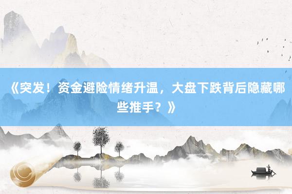 《突发!资金避险情绪升温,大盘下跌背后隐藏哪些推手?》