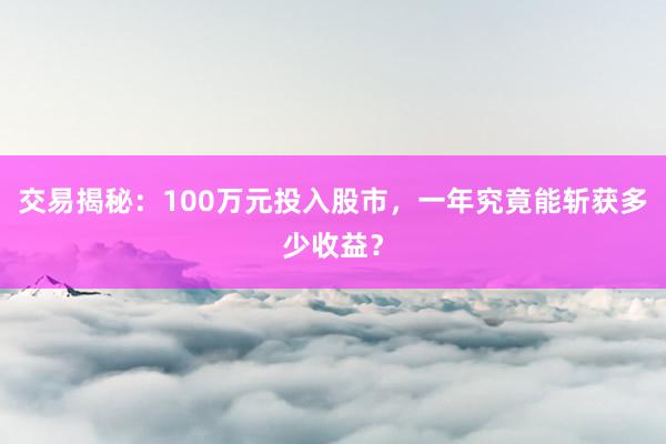 交易揭秘:100万元投入股市,一年究竟能斩获多少收益?