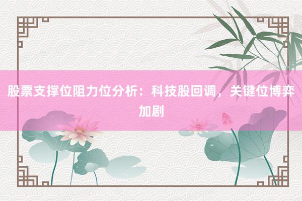 股票支撑位阻力位分析：科技股回调，关键位博弈加剧