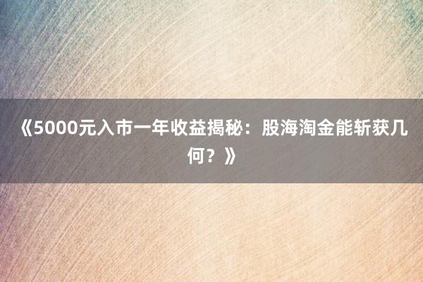 《5000元入市一年收益揭秘：股海淘金能斩获几何？》
