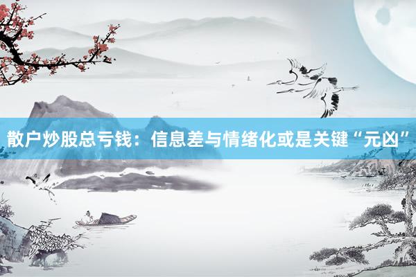 散户炒股总亏钱:信息差与情绪化或是关键“元凶”