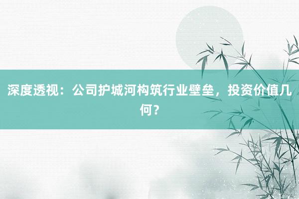 深度透视：公司护城河构筑行业壁垒，投资价值几何？